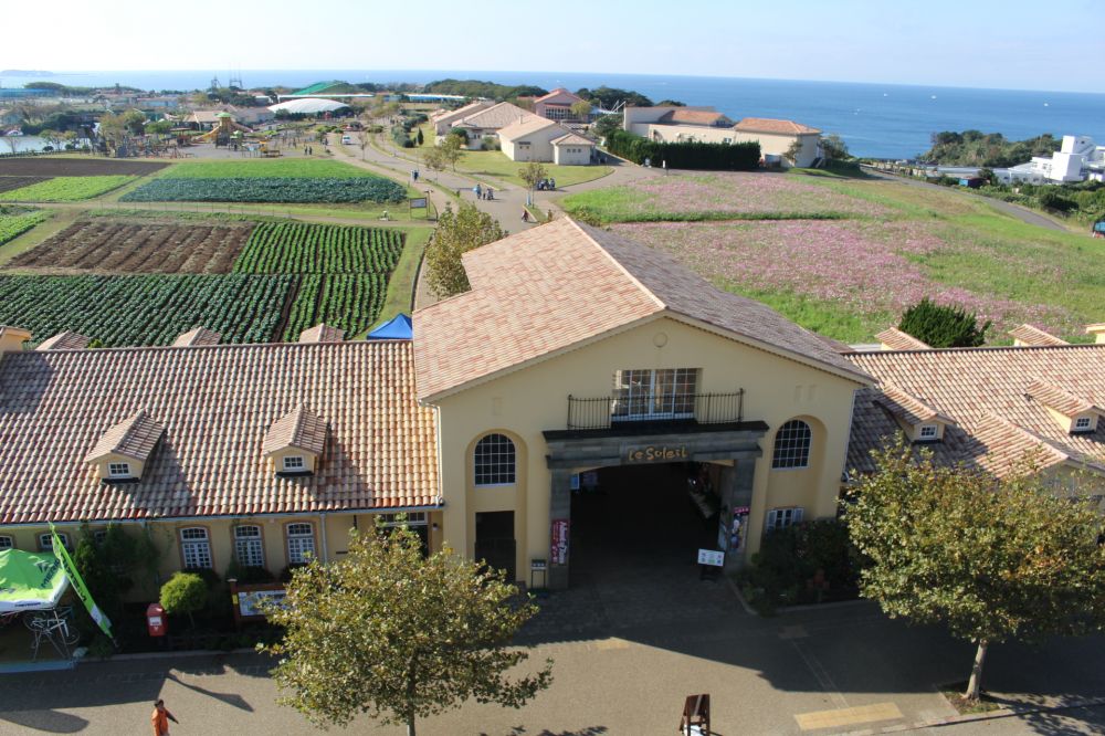 長井海の手公園 ソレイユの丘 ショップ動画ナビ